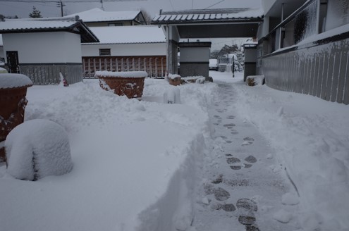 雪界の画像